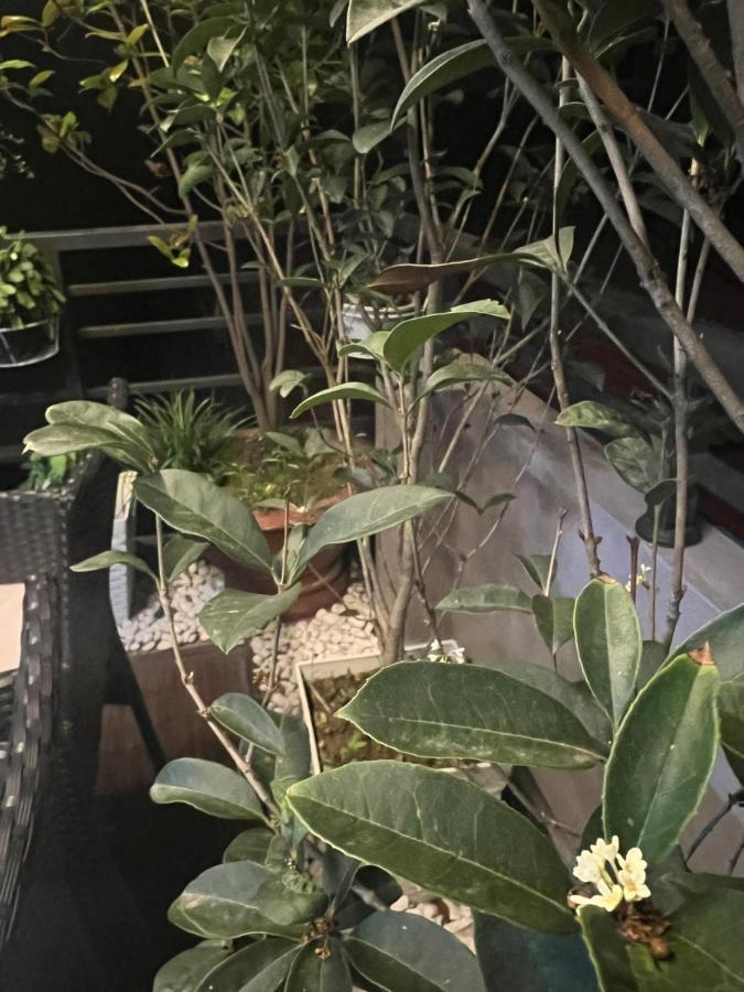 Sunflower Homestay Χάι Φονγκ Εξωτερικό φωτογραφία